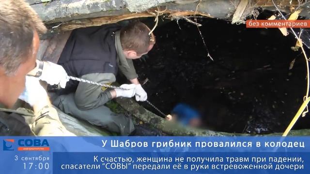 У Шабров грибник провалился в колодец смотреть онлайн