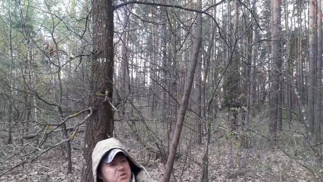 #КЛАД! РУЖЬЕ 16 ВЕКА! В ПОИСКАХ КЛАДА И ЗОЛОТА ОТ ВИКЛИНГА! смотреть онлайн