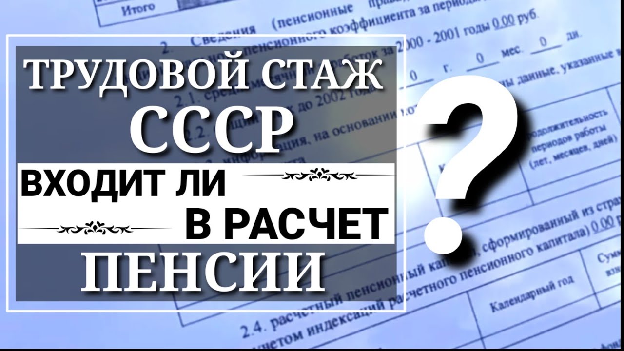 Где деньги Зин. 28 апр. 2019 г. #ConServA смотреть онлайн