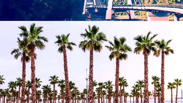 Казарян Айкуи г.Сочи - "Я люблю тебя, Сочи" смотреть онлайн