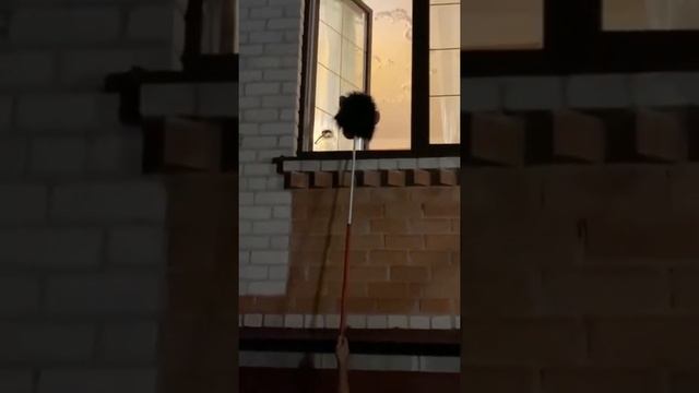 Как весело испугать жену смотреть онлайн