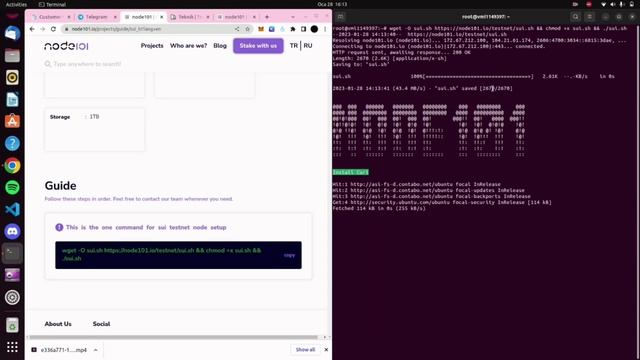 Sui Testnet Wave 2 Node Setup Guide "Just a Single Command" смотреть онлайн