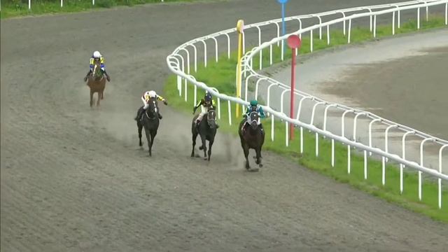 ПРИЗ ГЛАВЫ РЕСПУБЛИКИ БАШКОРТОСТАН для 3-х лет и старше верховых пород, рожденных в Башкортостане. смотреть онлайн