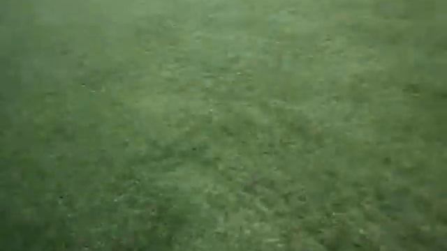 Тренеровка только без самой тренеровки! 3 смотреть онлайн