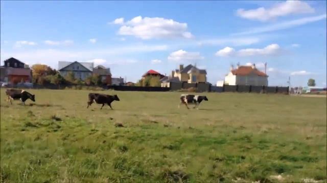 Осенние деньки, встречаем осень и танцы на кровати-2 :))))) смотреть онлайн