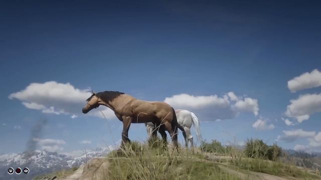 Playing as Spirit in Red Dead Redemption 2 смотреть онлайн