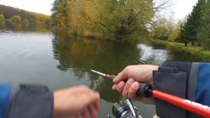 Обзор спиннинга. Супер Бюджет!!! Что сможет?! Lucky John Vanrex Twitching 42