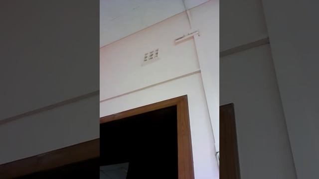 ШОК! Птица в школе! смотреть онлайн
