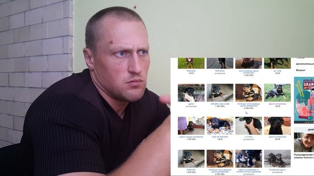 Хочу собаку, за сколько можно купить Ротвейлера??? Сколько стоит собака??? смотреть онлайн