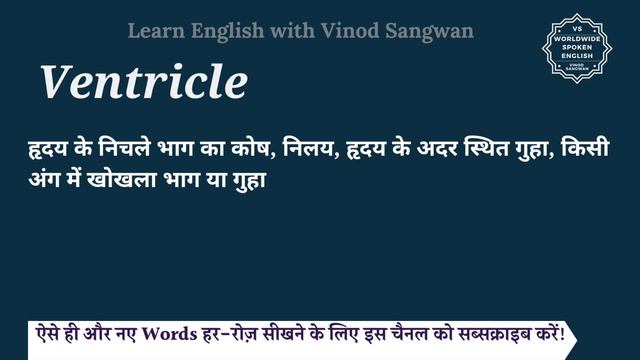 Ventricle meaning in Hindi | Ventricle ka matlab kya hota hai смотреть онлайн