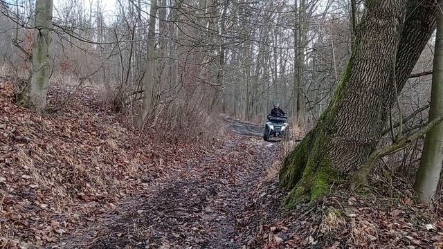 LINHAI M550 L EFI 4*4- Jedziemy Na Wycieczkę .#OlivierLL