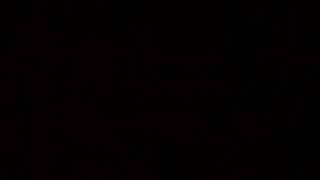 Обзор на крысу, в чем плюсы и минусы содержания крыс дома? смотреть онлайн