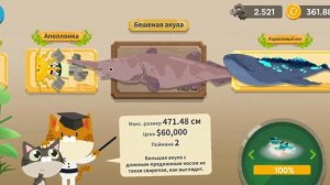 Показ всех рыб the fisher cat