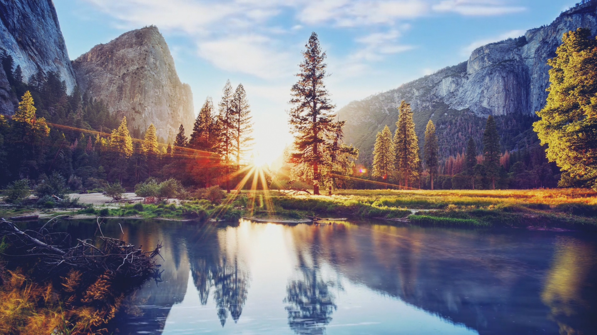 Волшебная Музыка Моцарта смотреть онлайн