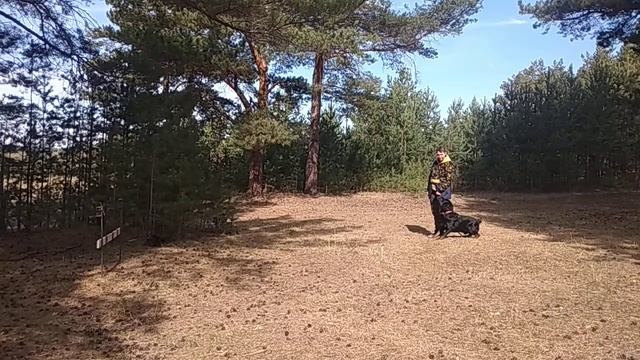 Наталья и Рем. перевозбуждение и решение 2 смотреть онлайн