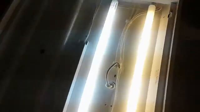 Бретский электроламповый завод , Philips - люминесцентные лампы Т8 18W смотреть онлайн