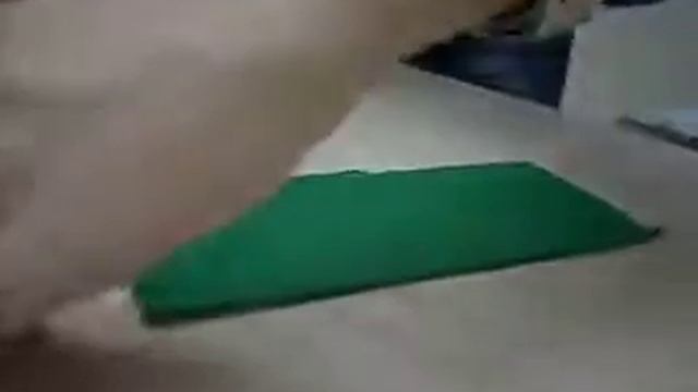 Виды швов при изготавленииодежды смотреть онлайн