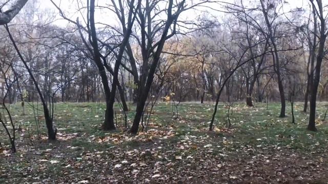 мир мелких деталей||старое новое• смотреть онлайн