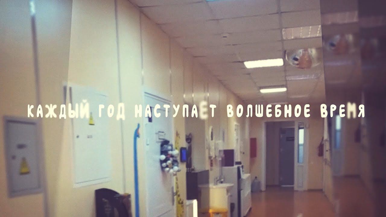 2024 С Новым Годом, RECORT! смотреть онлайн