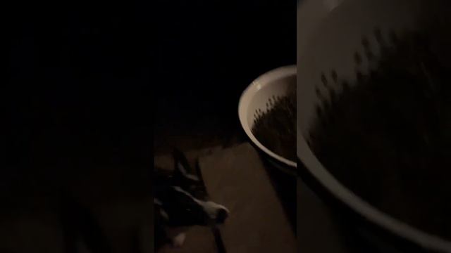 Вы как хотите я буду здесь жить вот такой гость смотреть онлайн