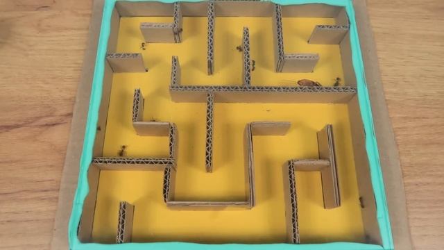 10 МУРАВЬЕВ ПРОТИВ ОДНОГО ТАРАКАНА В ЛАБИРИНТЕ! смотреть онлайн