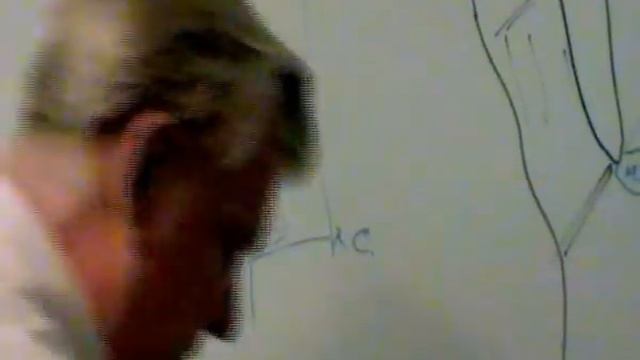 Знаки о счастливом браке, счастья в личной жизни. Как узнать когда будет удача в личной жизни. смотреть онлайн