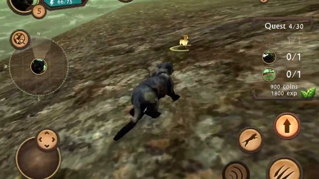 Wild Animal Simulator Gameplay | Lion Games | Lion Simulator | Animal Simulator | Mobile Games смотреть онлайн