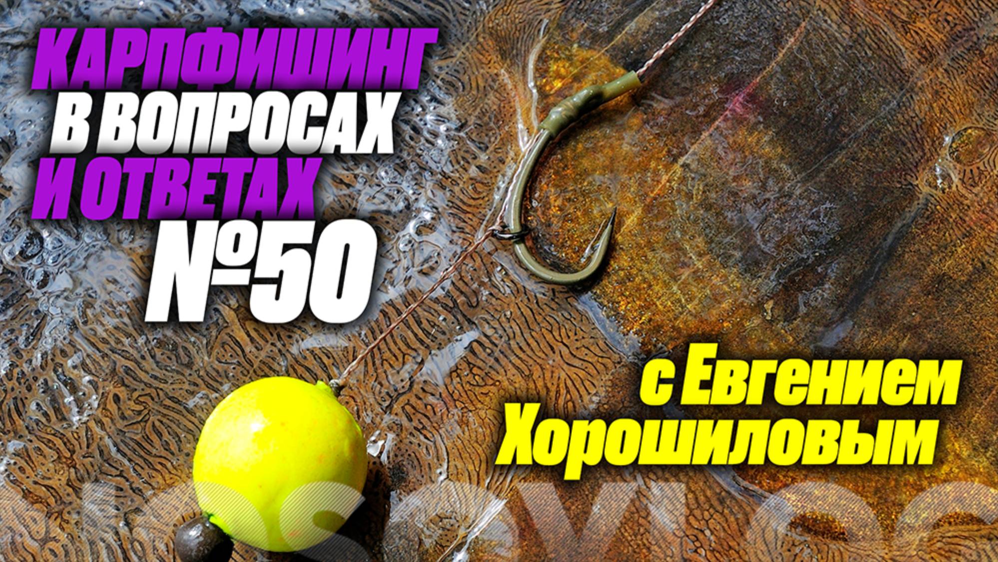 Карпфишинг в вопросах и ответах #50, Колесников А. и Хорошилов Е. смотреть онлайн