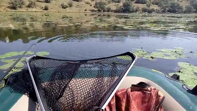 карась 1 кг на карбоновую удочку смотреть онлайн