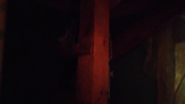 VID_20240714_210105.mp4 смотреть онлайн
