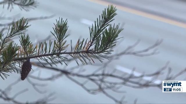 WYMT Mountain News at 11 - Top Stories - 11/1/23 смотреть онлайн