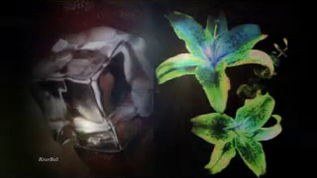 Ƹ̵̡Ӝ̵̨̄Ʒ ☸ Tonci Huljic ☸ Providenca ☸ Ƹ̵̡Ӝ̵̨̄Ʒ смотреть онлайн
