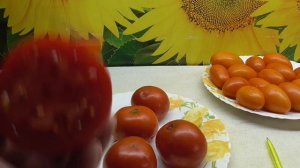 ТОМАТ БЕТТА. №297. ДЕГУСТАЦИЯ. Ольга Чернова.