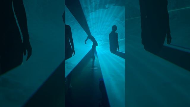 Солярис. Искусство любимый инструмент самопознания