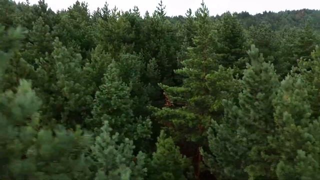 Кисловодск канатная дорога смотреть онлайн