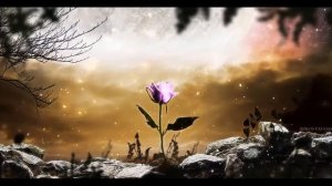 Убираем страхи и тревожность. Аутотренинг