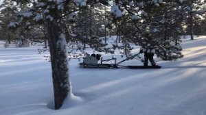 Снег 80 см. Мотособака по глубокому снегу/ LONG и СТАНДАРТ