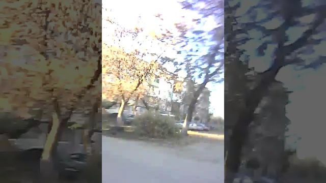 Жрать Бежать Спать