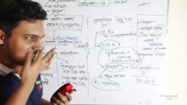 09.পরিপাক ও শোষণ-০৮ | BATTLES OF BIOLOGY смотреть онлайн