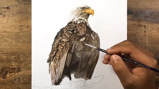 Painting Realistic Eagle in Watercolor смотреть онлайн