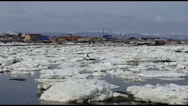 На Сахалине застряли во льдах касатки смотреть онлайн
