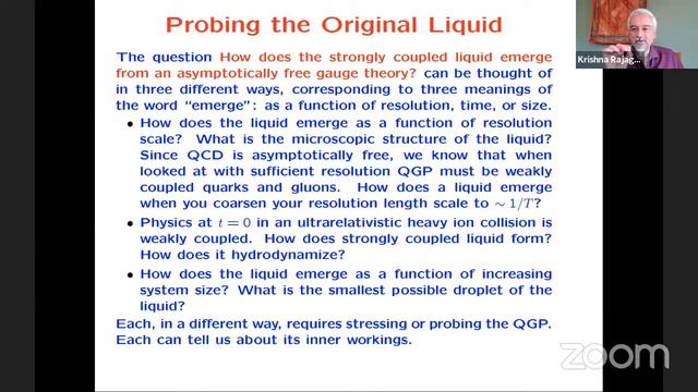 ILS-MOU-II | Doping and Probing the Original Liquid | Krishna Rajagopal смотреть онлайн