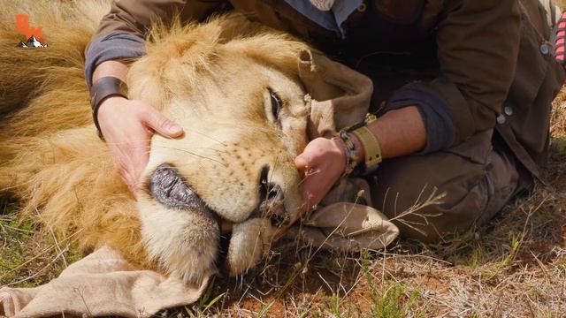 BITE of the KING! смотреть онлайн