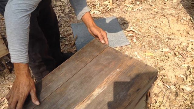 Пасека возле Шеньчженя - BeeGarden near Shenzhen (PNS in China) смотреть онлайн