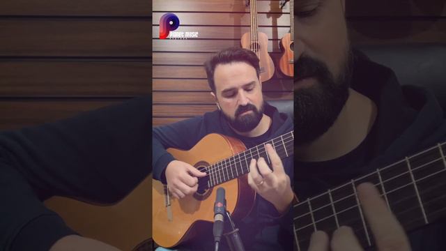 PMX - Fernando Barbosa + Magma Strings GC 120 смотреть онлайн