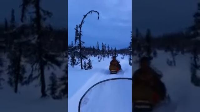 Snowmachine to Trapper смотреть онлайн