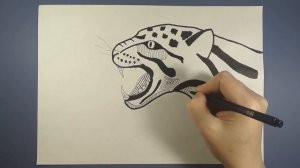 Как нарисовать ягуара. Абстракция
