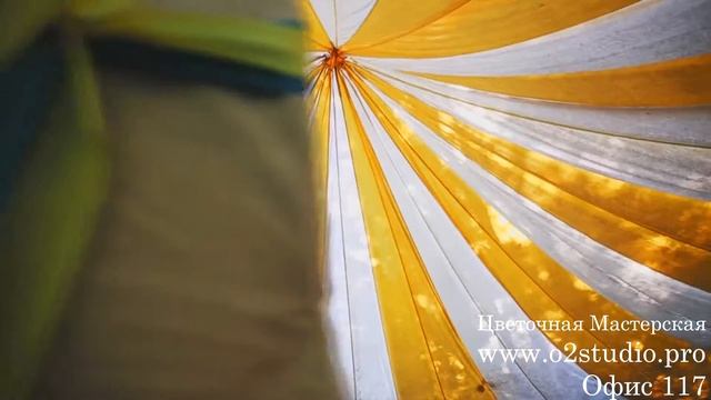 o2studio.pro смотреть онлайн