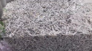 Баня из арболитовых блоков