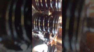 Шеви нива жор масла.